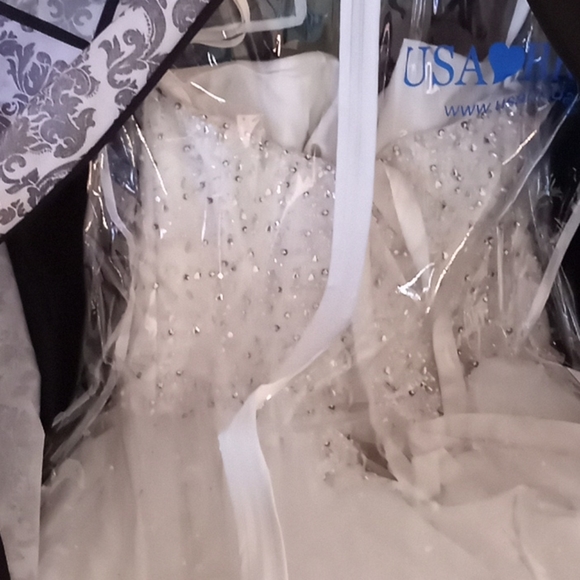 Wedding Dress - Picture 1 of 3